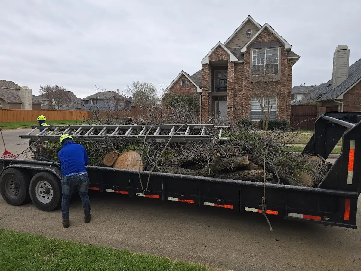 Expert Tree Fertilization with proper safety equipment in Biggers
